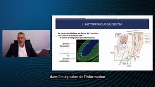 ANDREW2 (Autism and NeuroDevelopment REsearch Workshop 2) - « Motor Disorders in Autism Spectrum Disorders: interest in diagnosis and identification of novel therapeutic avenue » - Mohamed Jaber - INSERM U1084, Poitiers - version sous-titrée