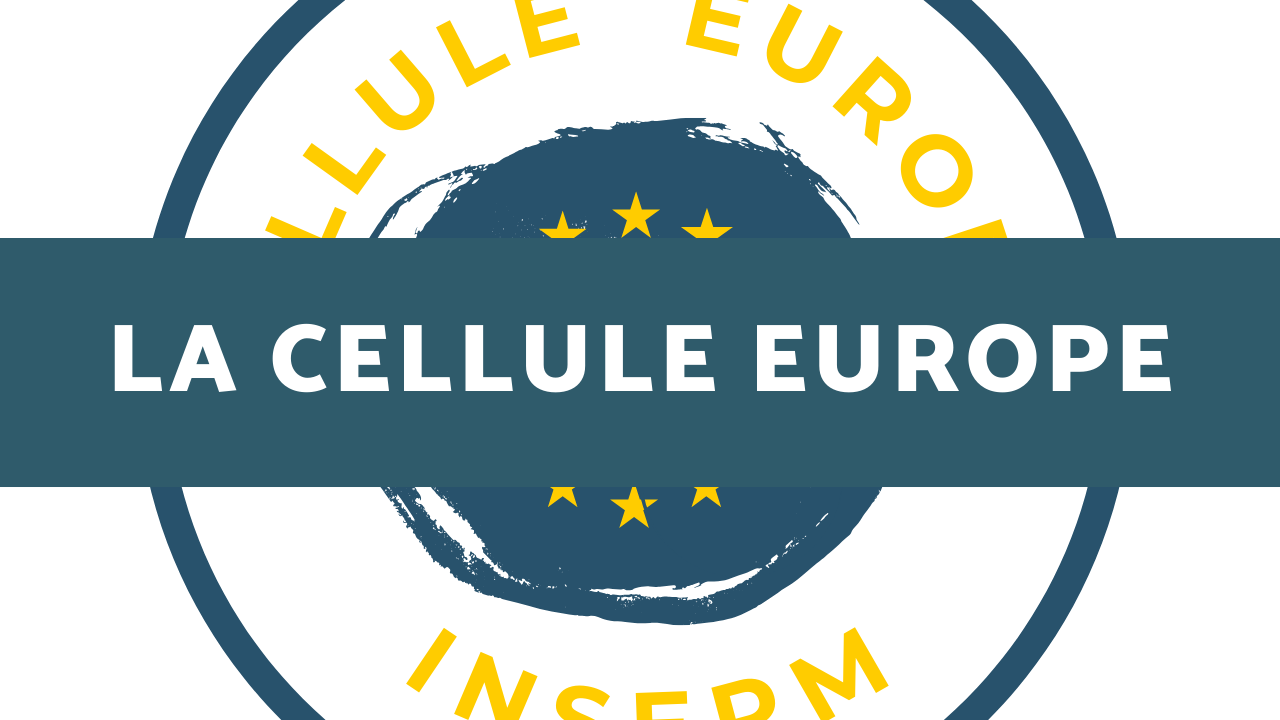 Bannière La Cellule Europe de l'Inserm